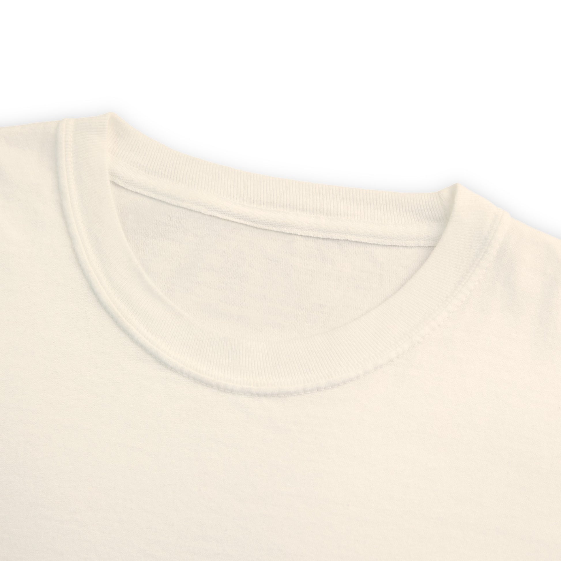 Crew neck view of a shirt.