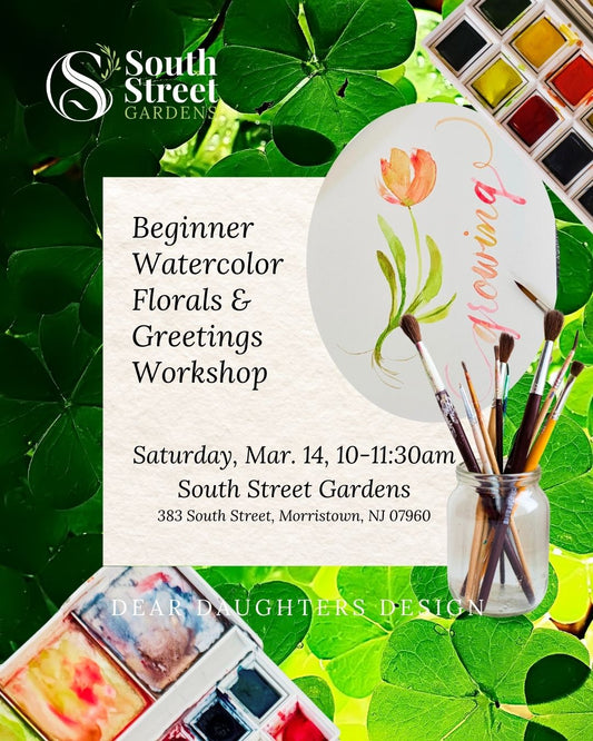 South Street Gardens - Saturday, March 14, 2026, 10-11:30am, Morristown, NJ - Learn Watercolor Florals & Winter Greetings Workshop