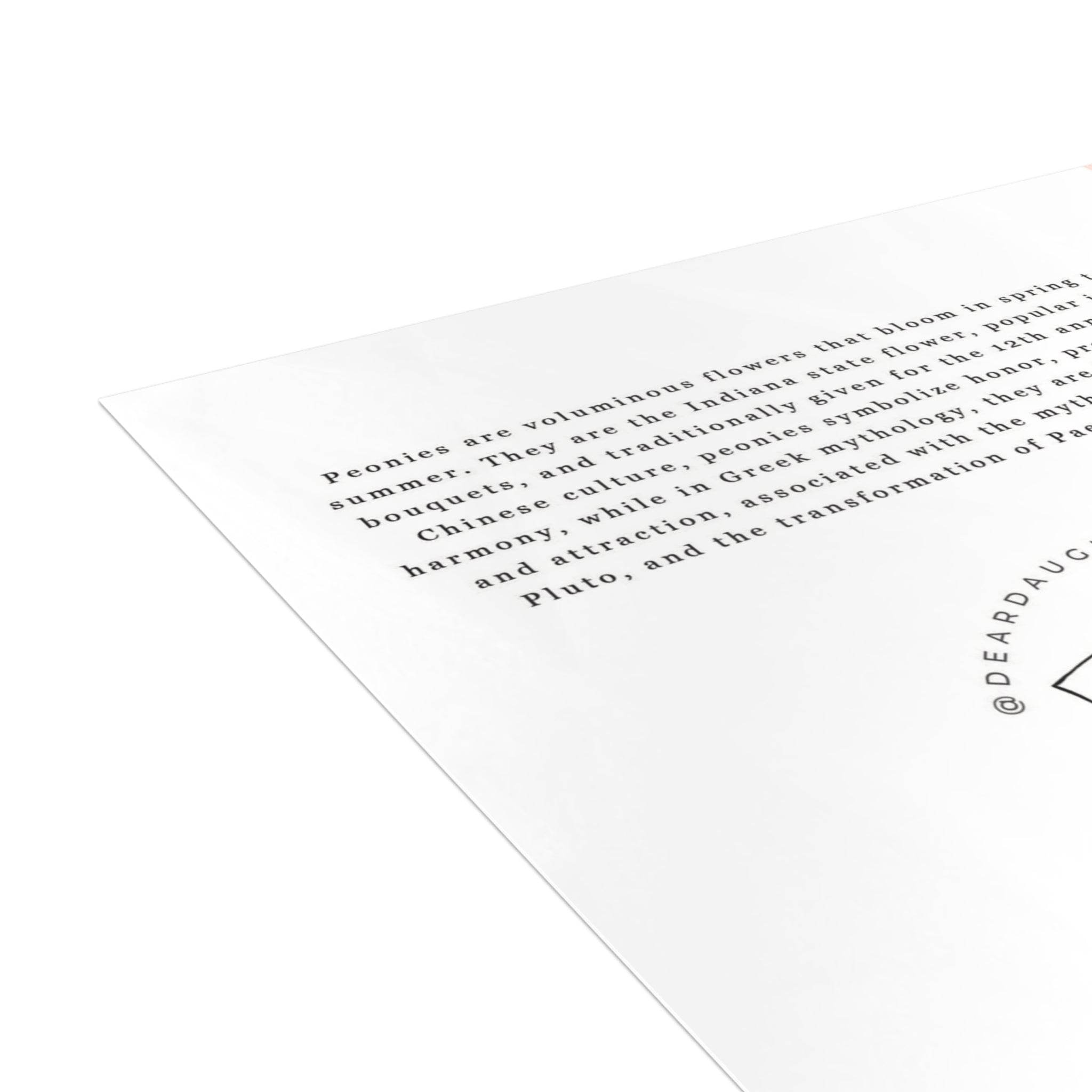 Peony Toile Greeting Card - Dear Daughters Design