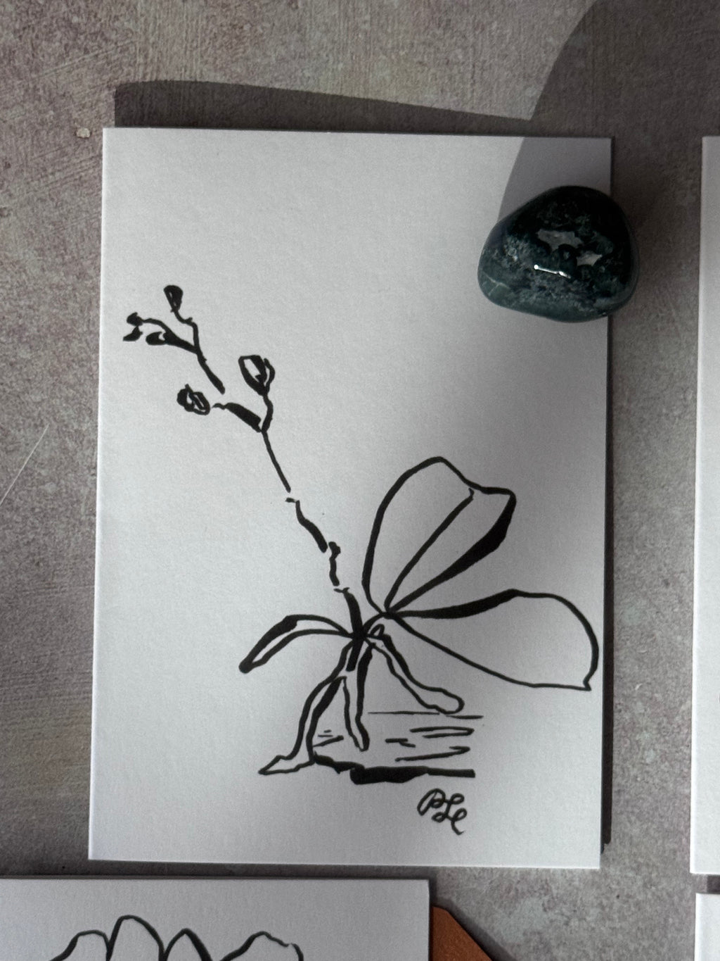 Greeting Card Set of 8 Small Note Cards - Faerie Orchids Collection