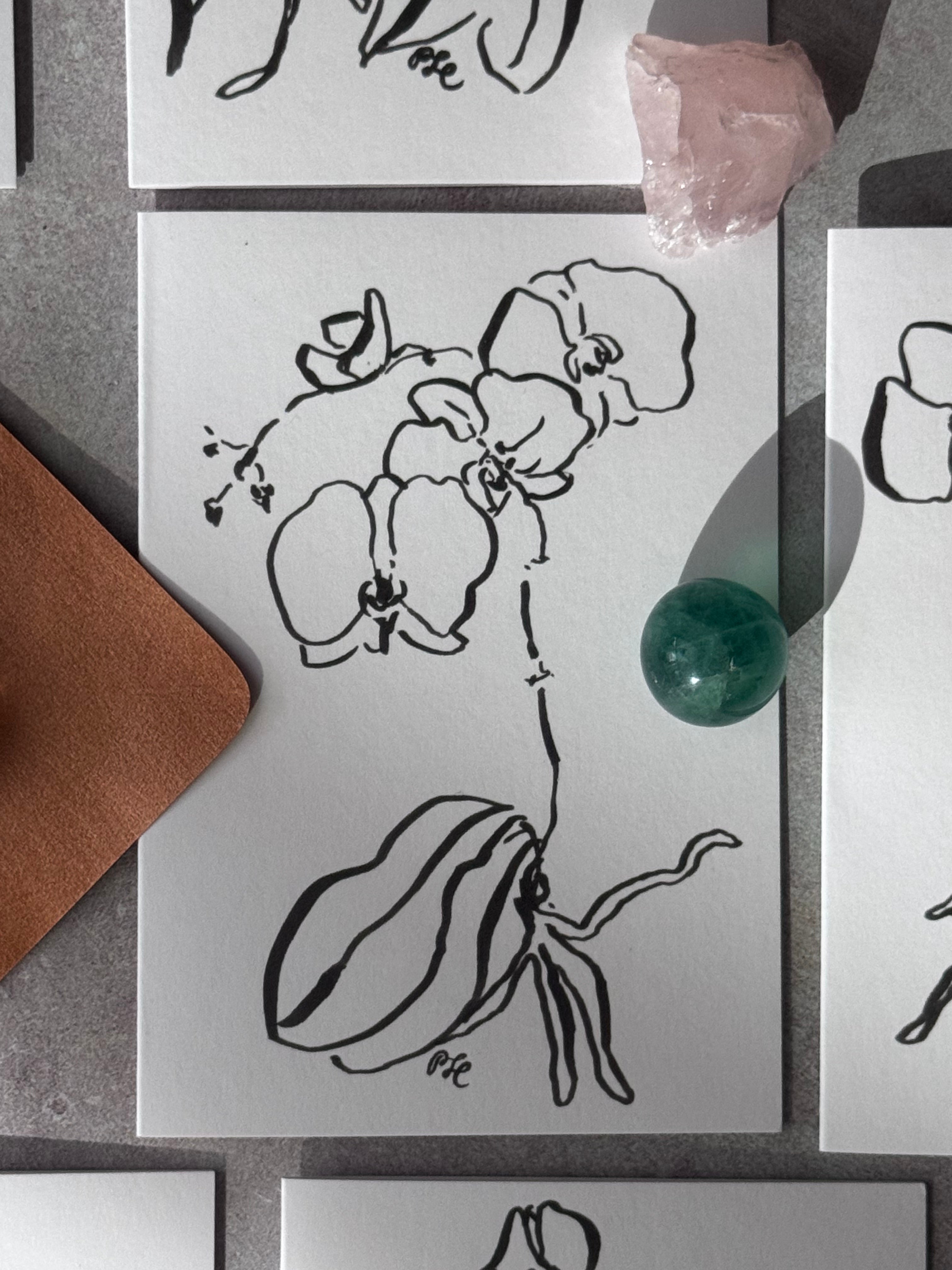 Greeting Card Set of 8 Small Note Cards - Faerie Orchids Collection