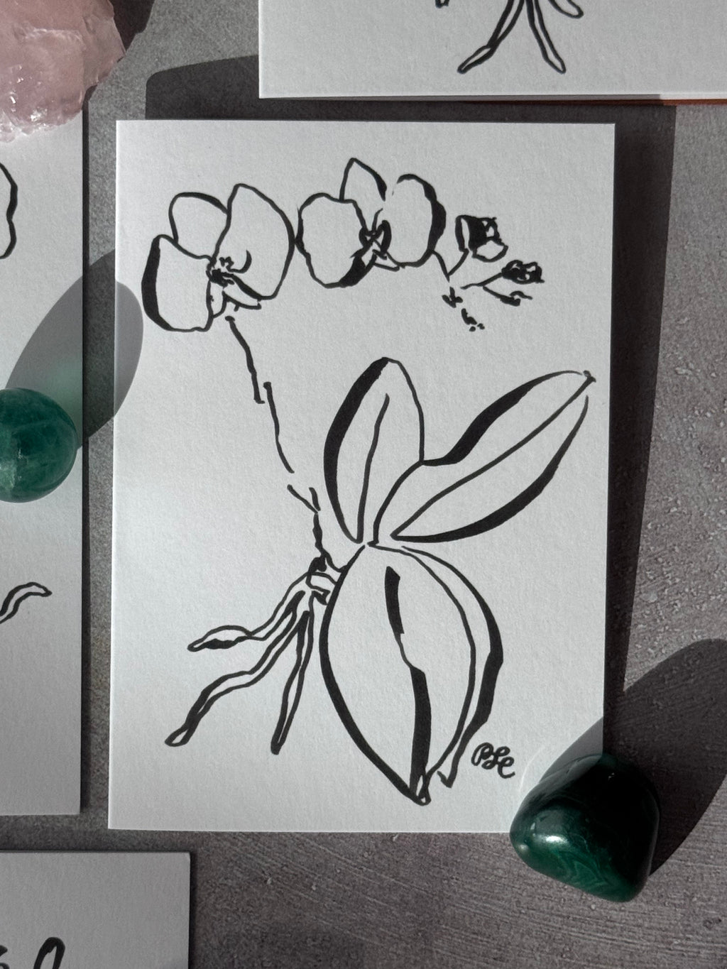 Greeting Card Set of 8 Small Note Cards - Faerie Orchids Collection
