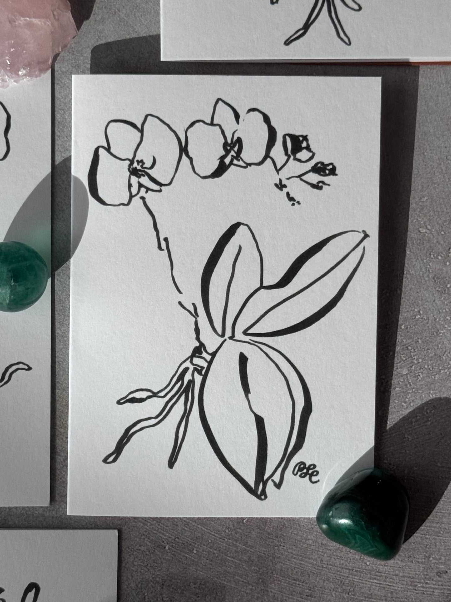 Greeting Card Set of 8 Small Note Cards - Faerie Orchids Collection