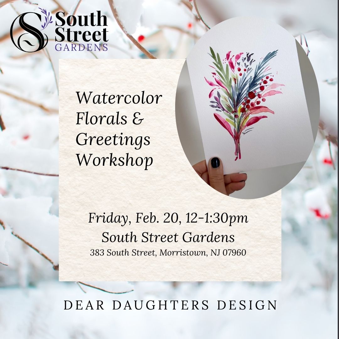 South Street Gardens - Friday, February 20, 2026, 12-1:30pm, Morristown, NJ - Learn Watercolor Florals & Winter Greetings Workshop