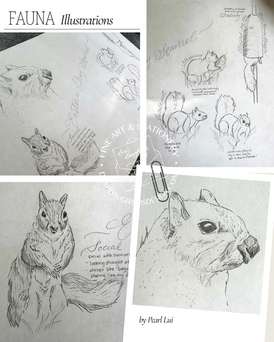 Scientific Illustration - Fauna - Eastern Gray Squirrel - Graphite