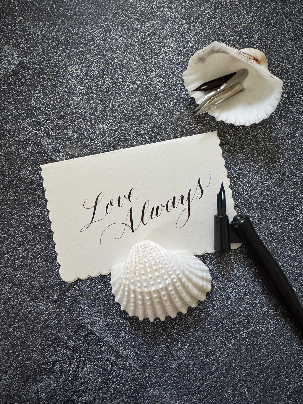 South Street Gardens - Saturday, January 10, 2026, 10-11:30am, Morristown, NJ - Learn Modern Calligraphy Workshop