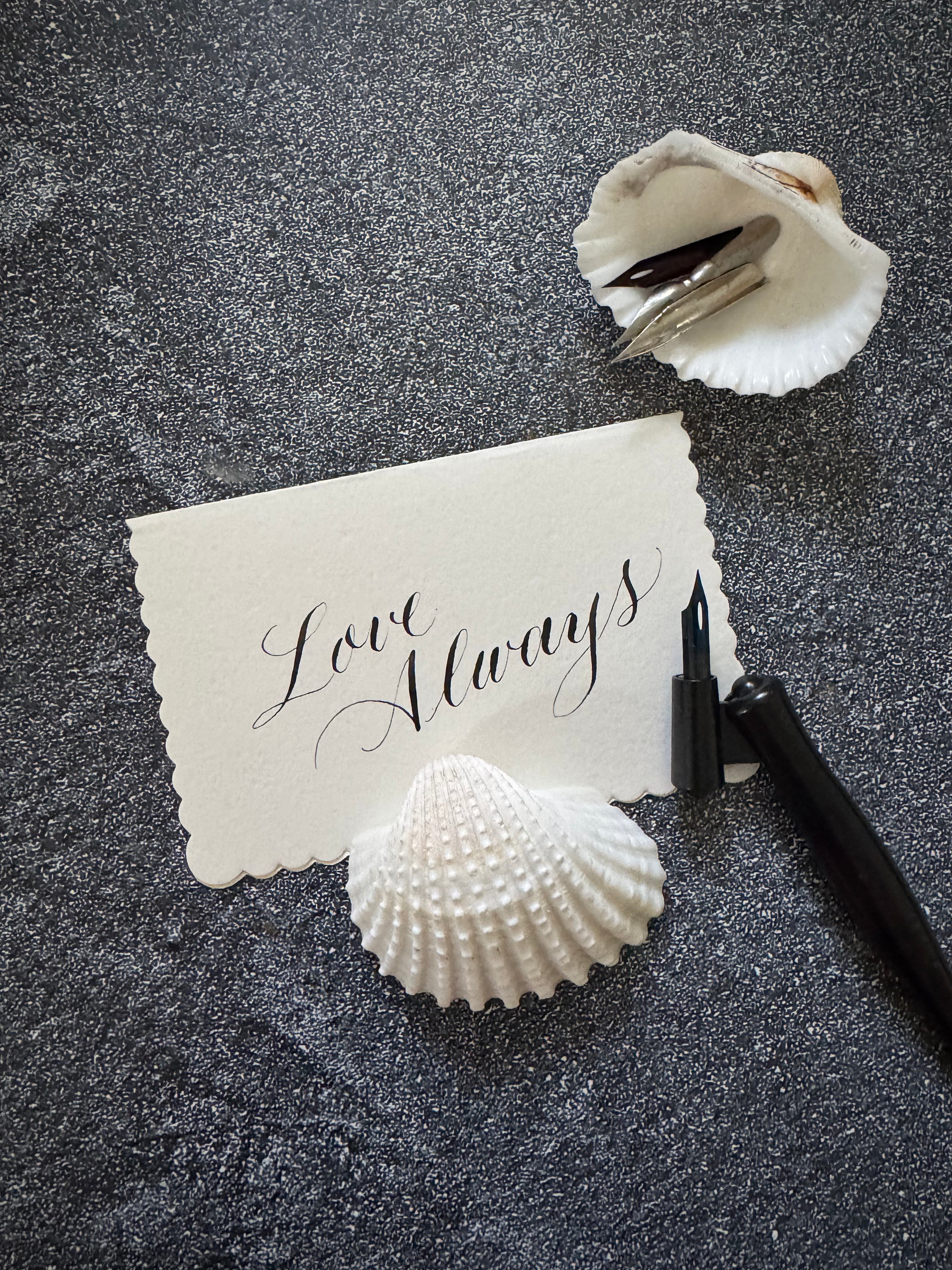 South Street Gardens - Saturday, January 10, 2026, 10-11:30am, Morristown, NJ - Learn Modern Calligraphy Workshop