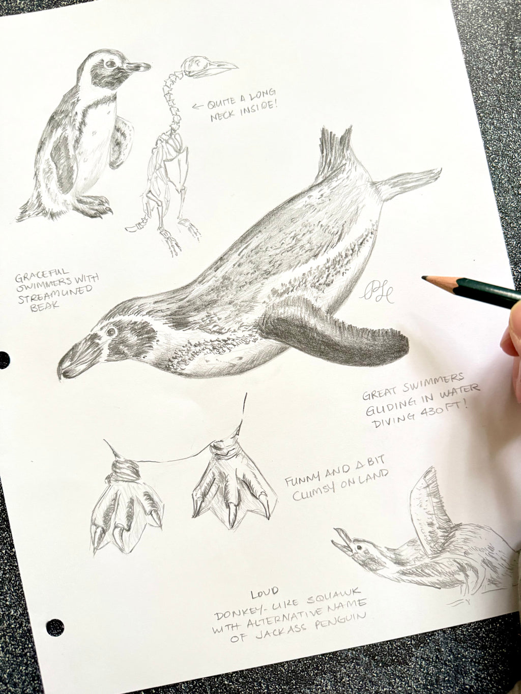 Hand-painted & Hand-drawn Flora & Fauna Custom Original Art (Unframed) - Dear Daughters Design