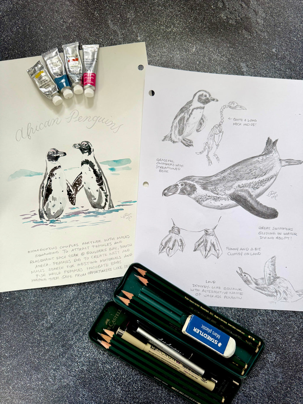 Hand-painted & Hand-drawn Flora & Fauna Custom Original Art (Unframed) - Dear Daughters Design