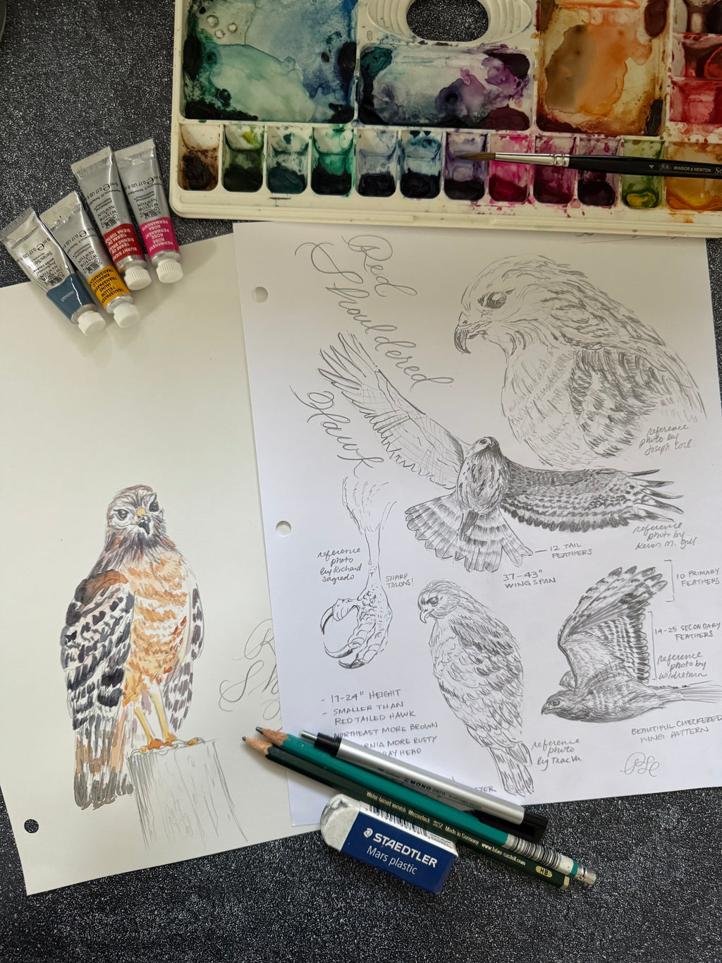 Hand-painted & Hand-drawn Flora & Fauna Custom Original Art (Unframed) - Dear Daughters Design