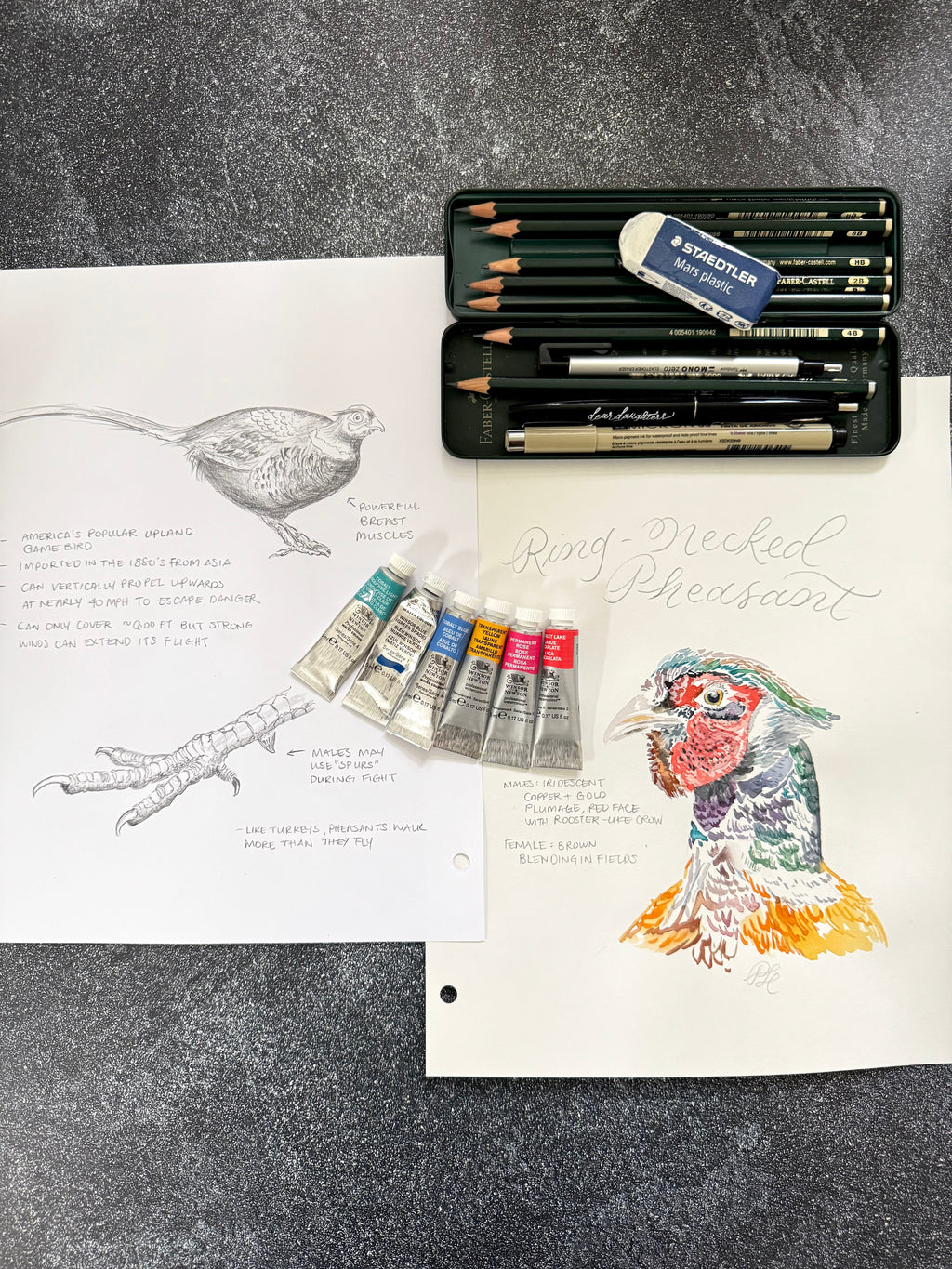 Hand-painted & Hand-drawn Flora & Fauna Custom Original Art (Unframed) - Dear Daughters Design