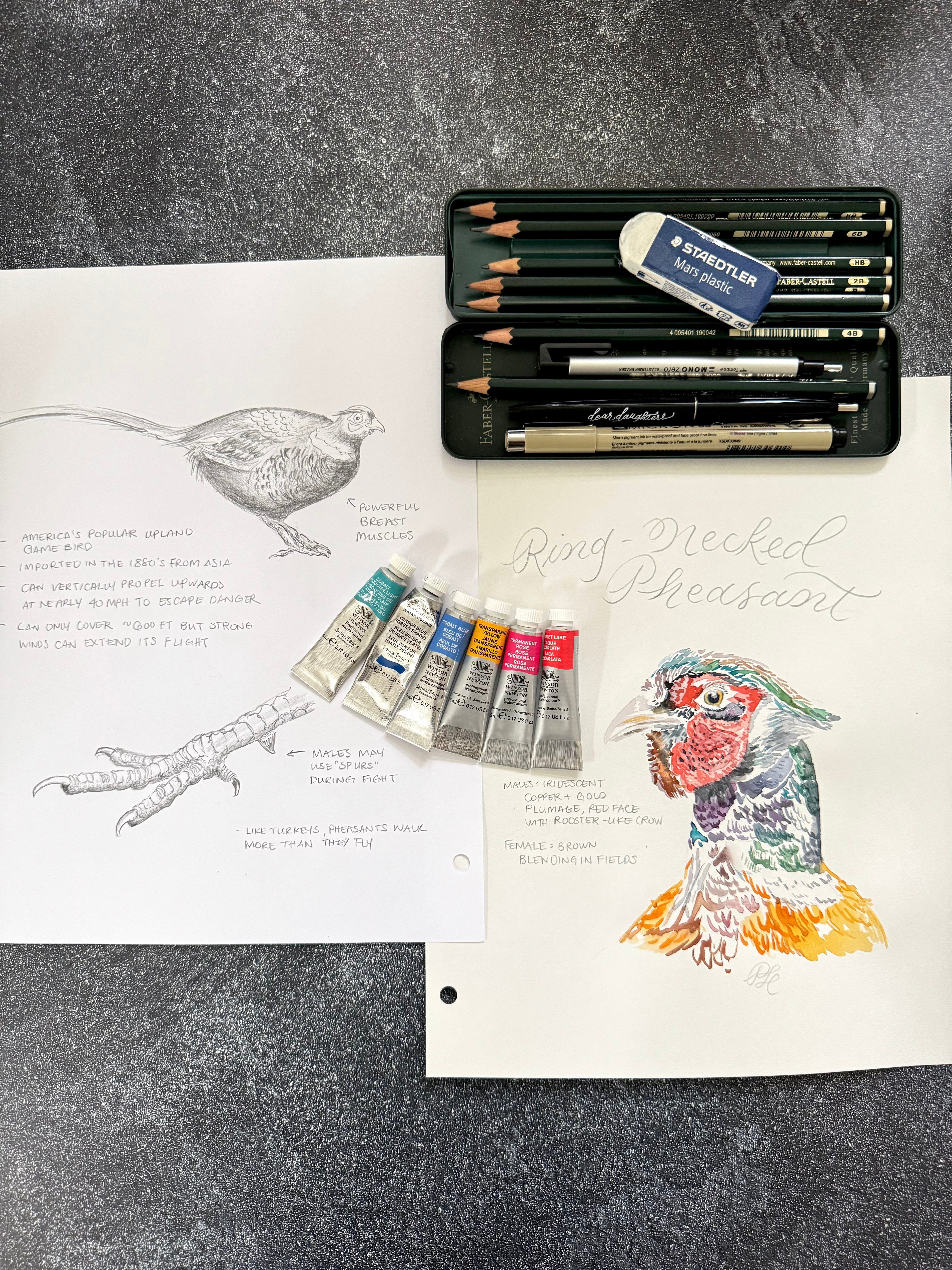 Hand-painted & Hand-drawn Flora & Fauna Custom Original Art (Unframed) - Dear Daughters Design