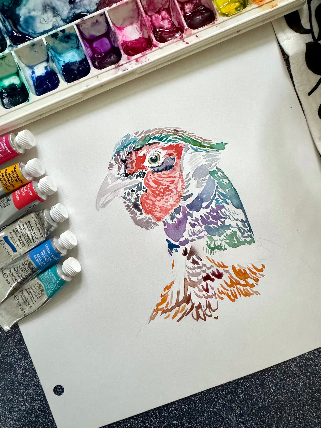 Custom Flora & Fauna Illustration - Ring Necked Pheasant Watercolor