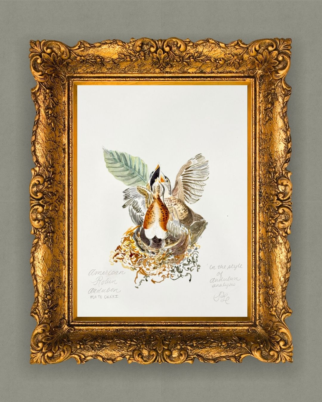 Custom Scientific Illustration - Ornithological Study - Audubon Study of Robins Nest