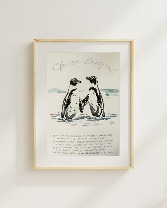 Custom Scientific Illustration - Ornithological Watercolor - African Penguins