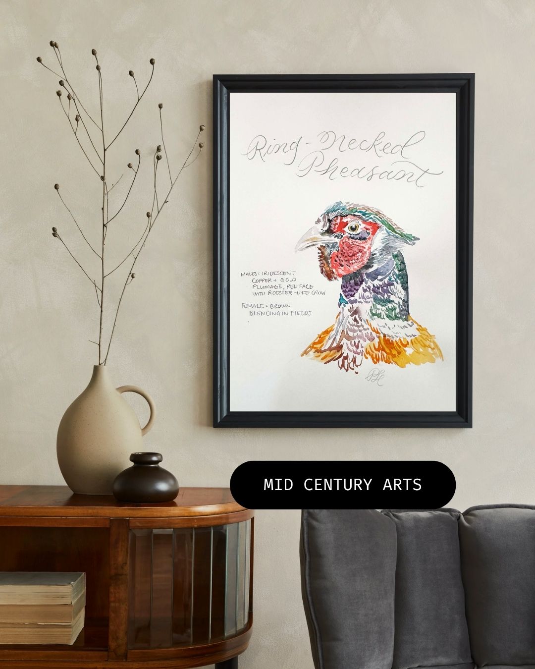 Custom Scientific Illustration - Ornithological Watercolor Study - Ring-Necked Pheasant