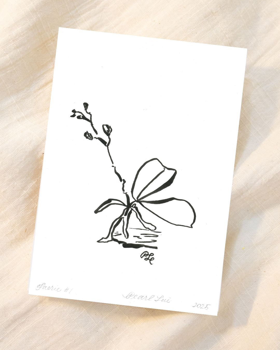 Greeting Card Set of 8 Small Note Cards - Faerie Orchids Collection