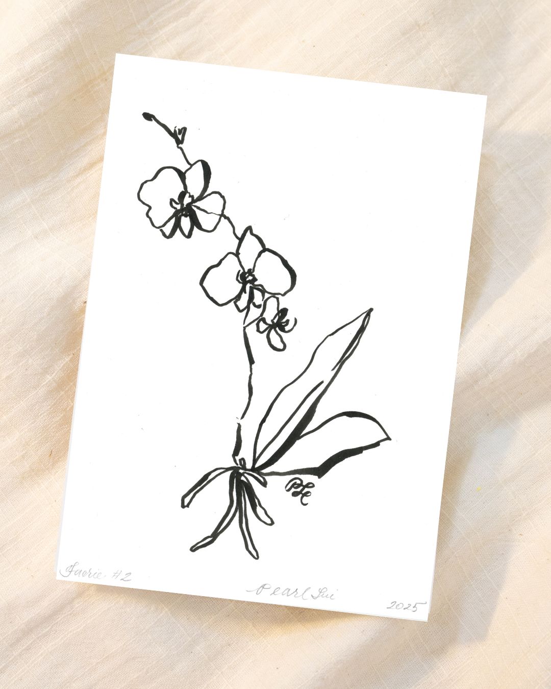 Greeting Card Set of 8 Small Note Cards - Faerie Orchids Collection
