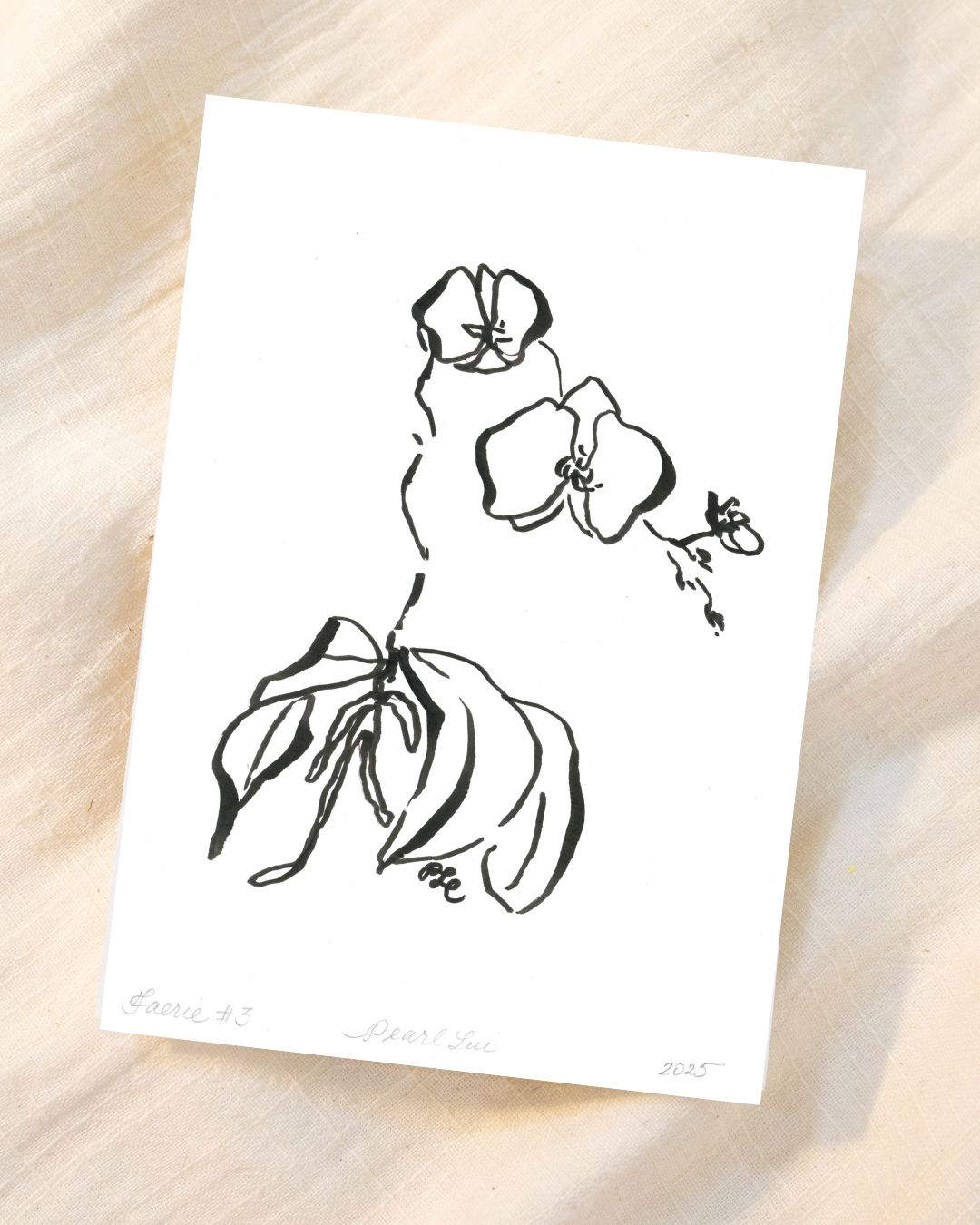 Greeting Card Set of 8 Small Note Cards - Faerie Orchids Collection