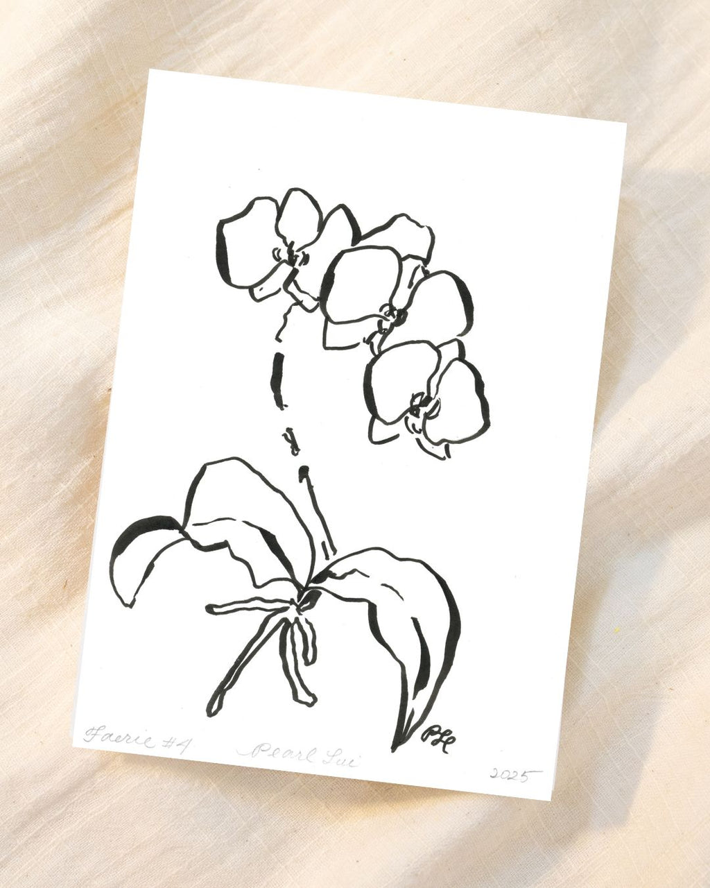 Greeting Card Set of 8 Small Note Cards - Faerie Orchids Collection