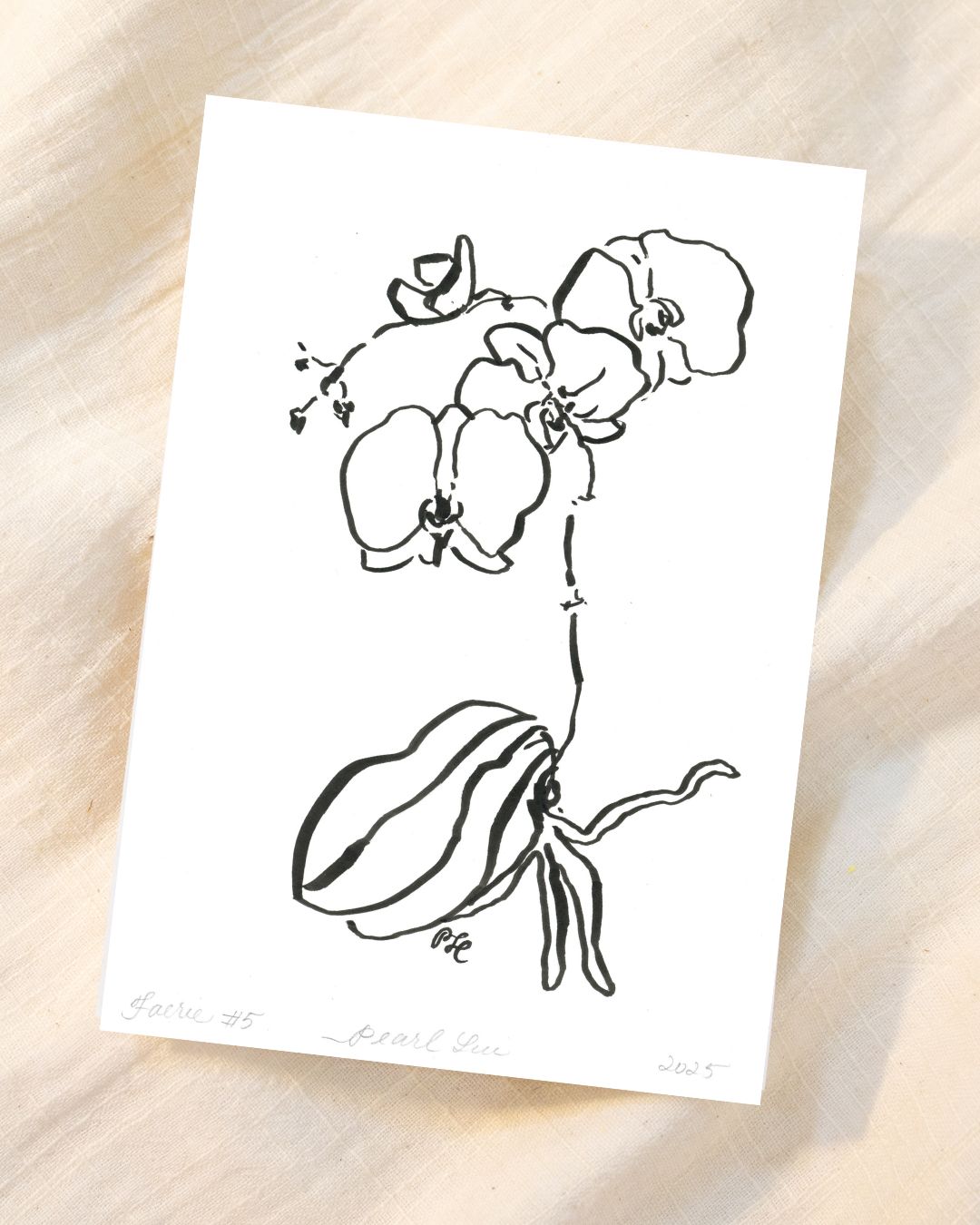 Greeting Card Set of 8 Small Note Cards - Faerie Orchids Collection