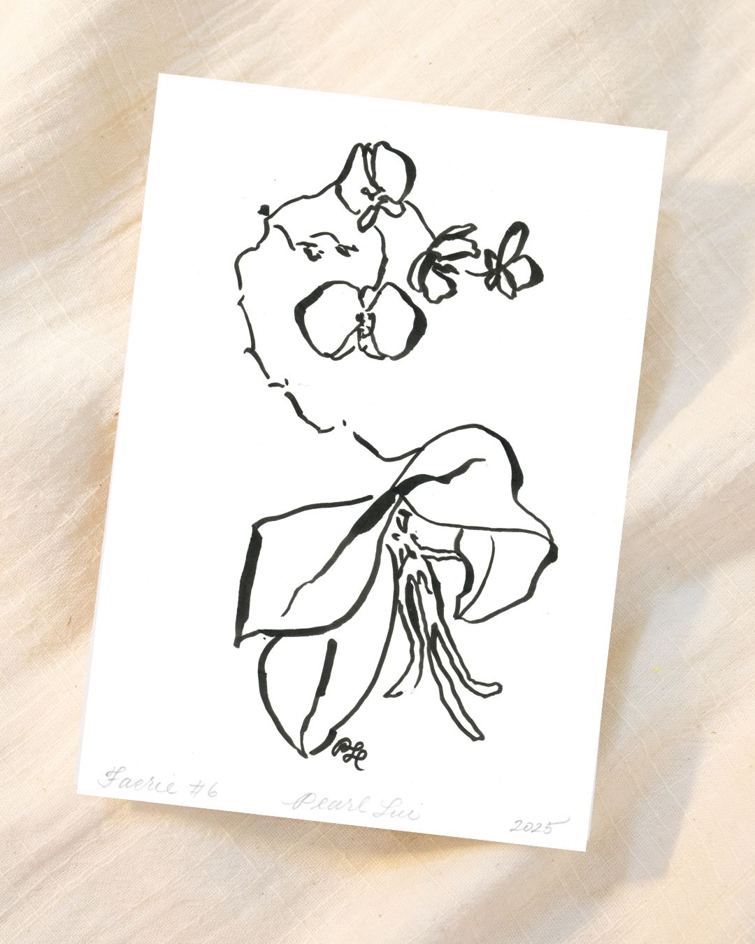 Greeting Card Set of 8 Small Note Cards - Faerie Orchids Collection