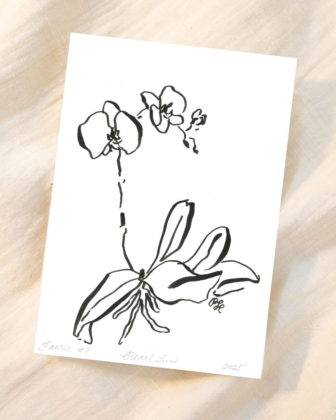 Greeting Card Set of 8 Small Note Cards - Faerie Orchids Collection
