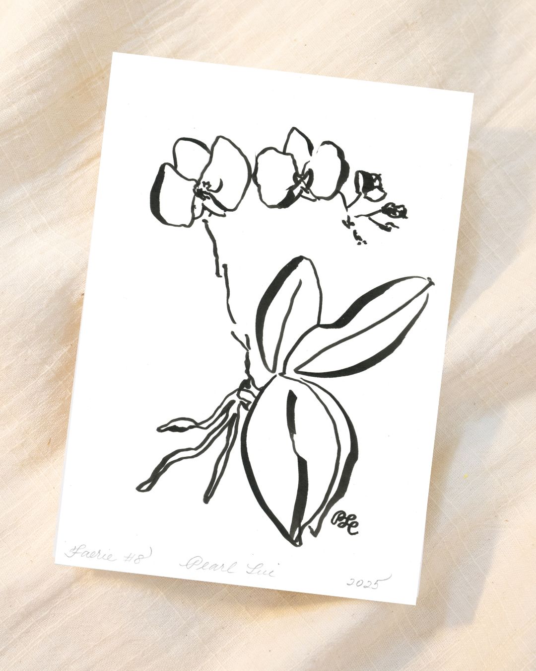 Greeting Card Set of 8 Small Note Cards - Faerie Orchids Collection