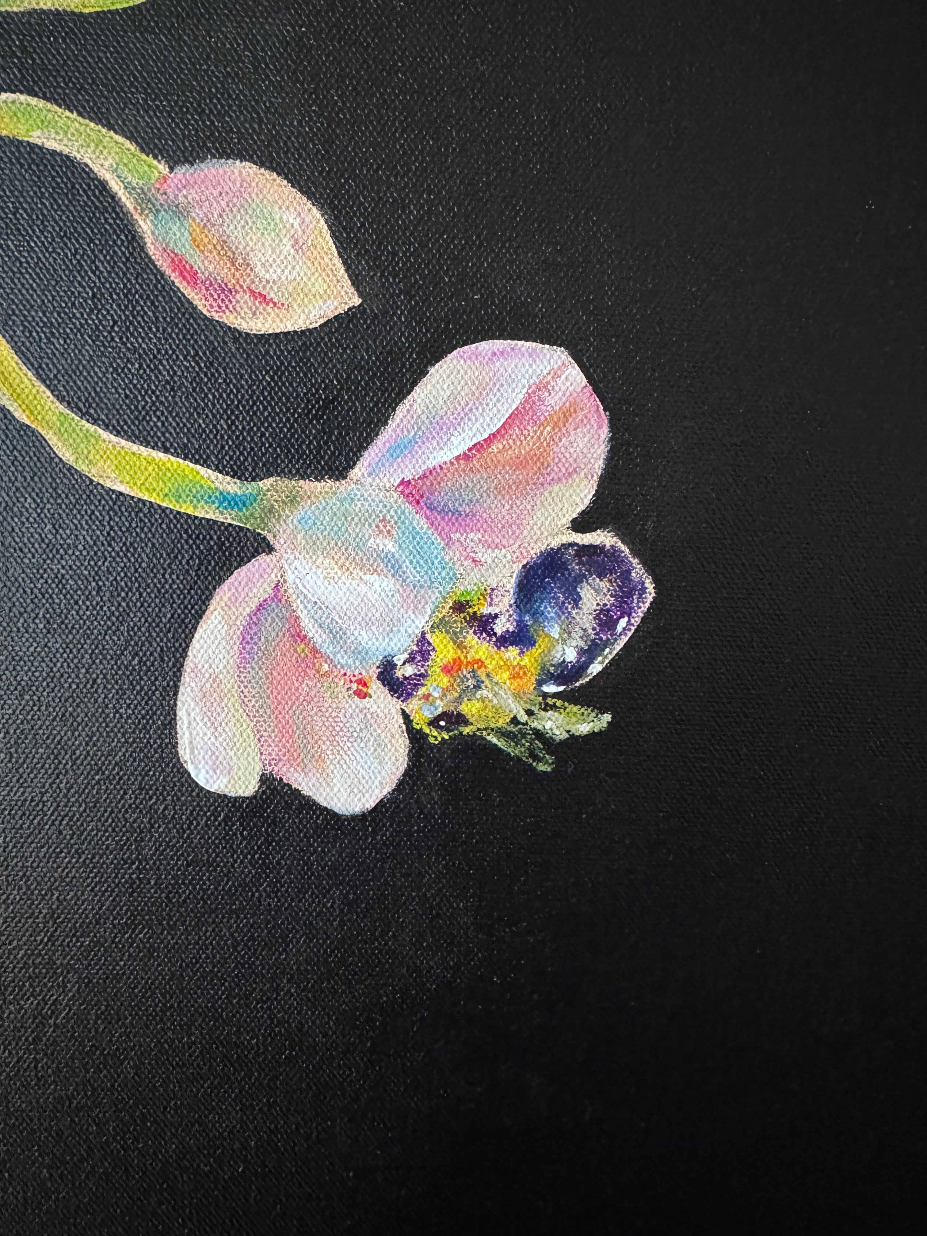 PREVIEW - Stretch - 16x20