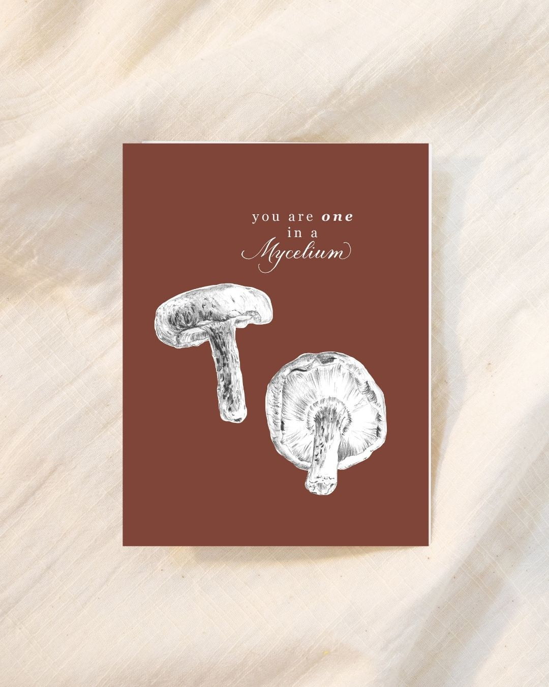 Cute Birthday or Thank You Greeting Card for Mushroom Lovers