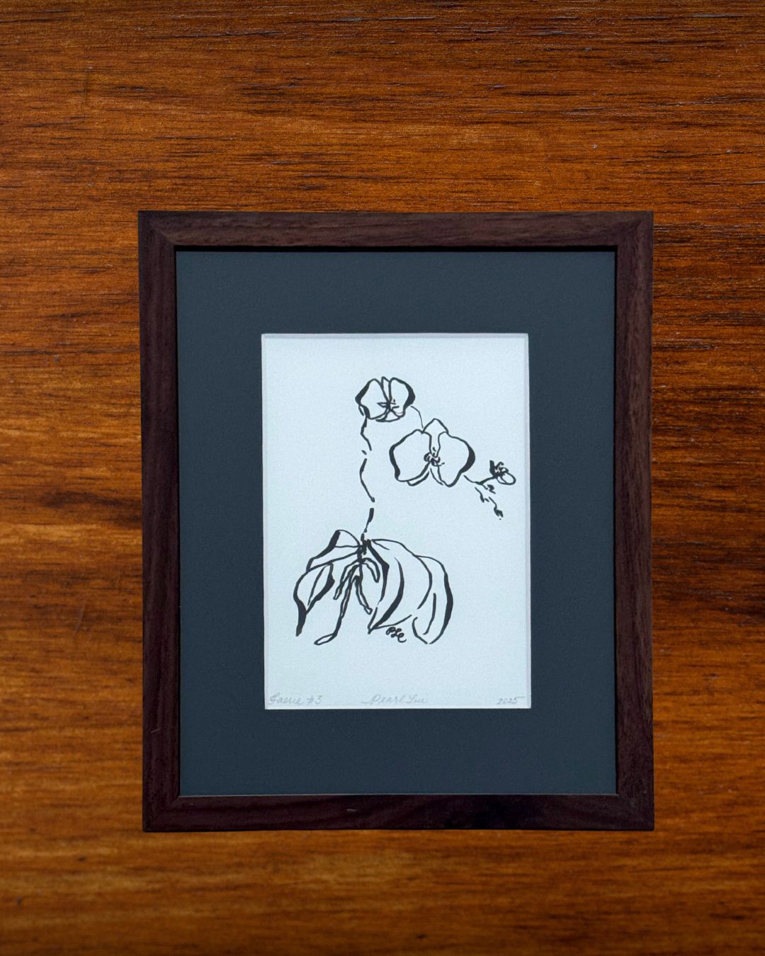 Faerie Orchid #3 - Original Ink on Bristol – Minimalist Botanical Art - Fine Art by NJ Artist