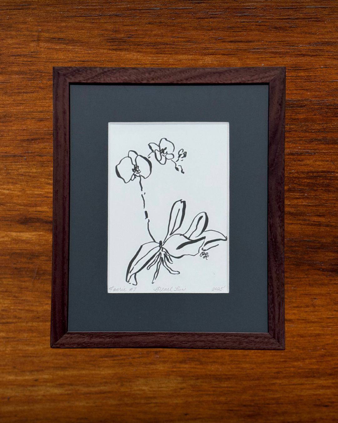 Faerie Orchid #7 - Original Ink on Bristol – Minimalist Botanical Art - Fine Art by NJ Artist
