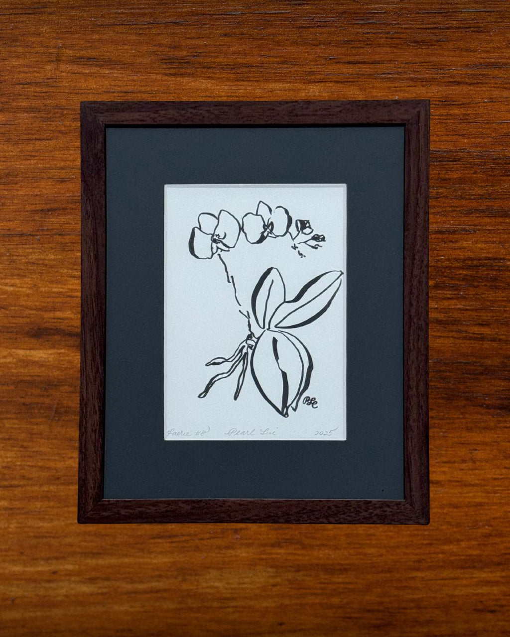 Faerie Orchid #8 - Original Ink on Bristol – Minimalist Botanical Art - Fine Art by NJ Artist