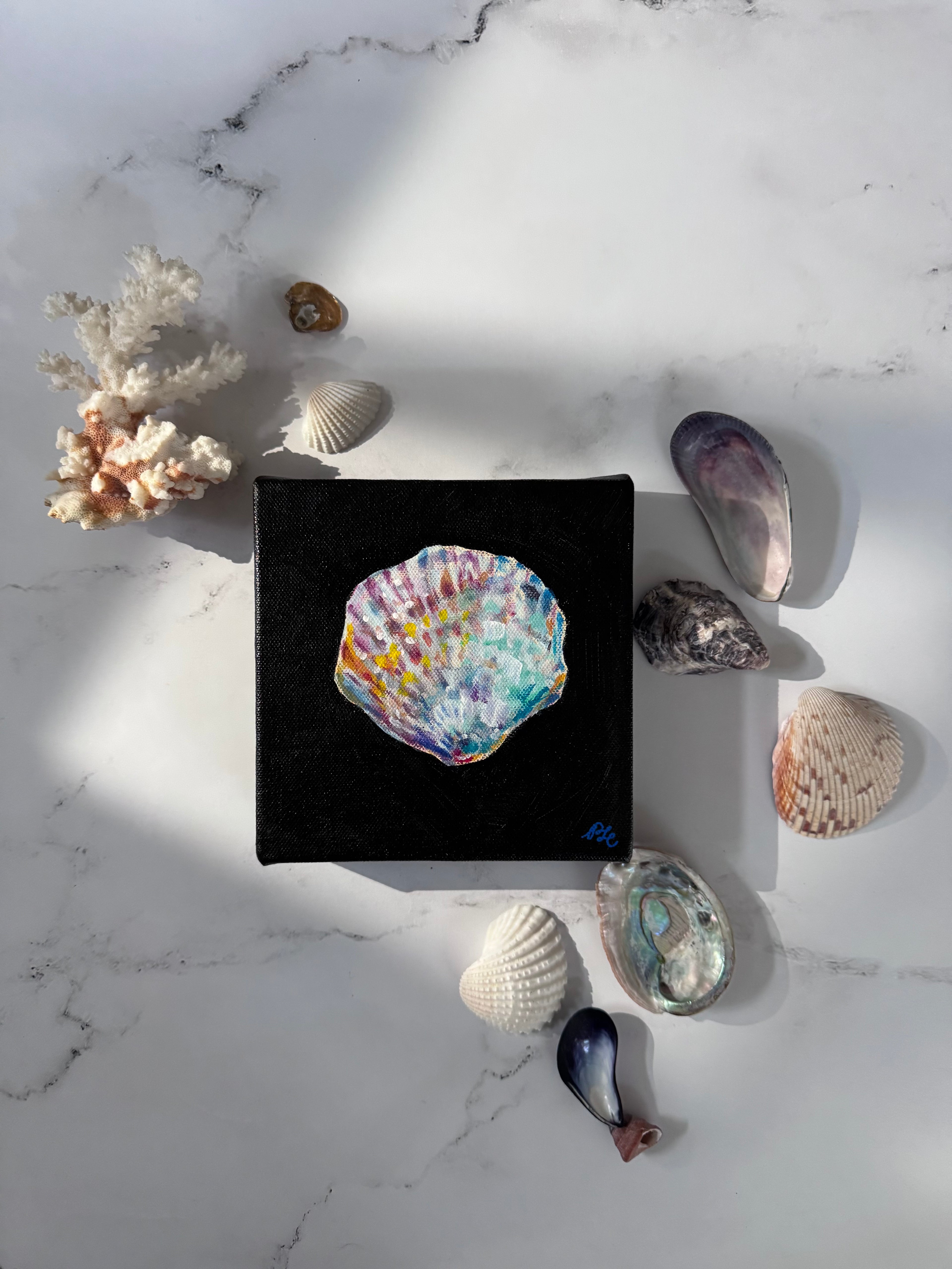 SOLD - Matriarch: A Seashell Collection - Matriarch #1