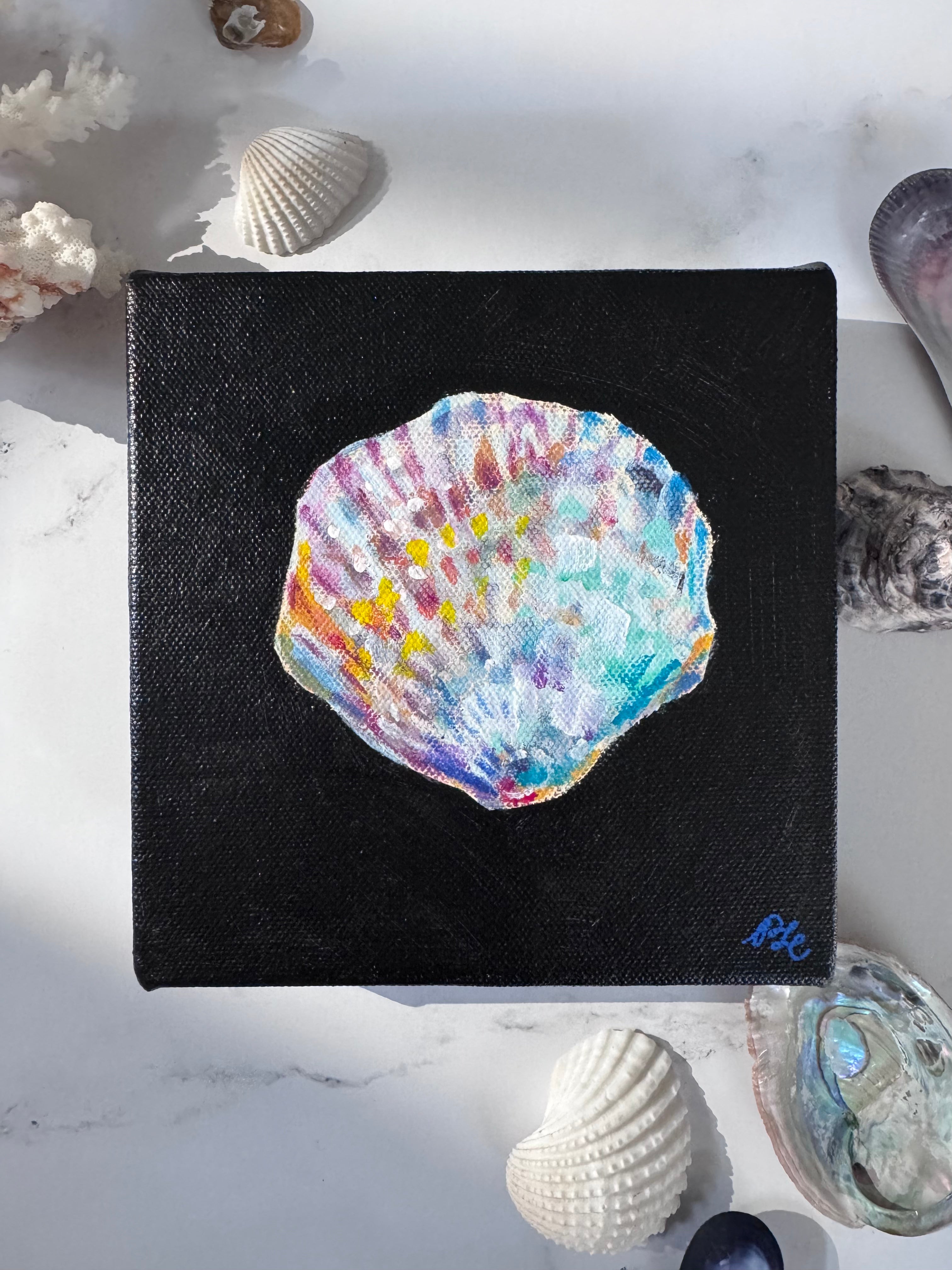 SOLD - Matriarch: A Seashell Collection - Matriarch #1