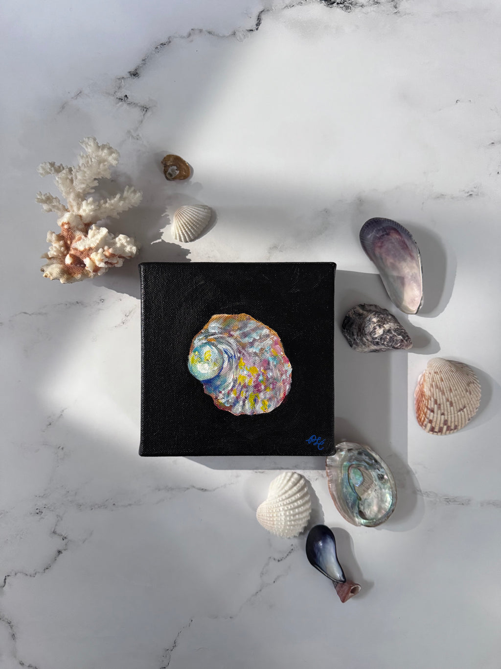 Matriarch: A Seashell Collection - Matriarch #3