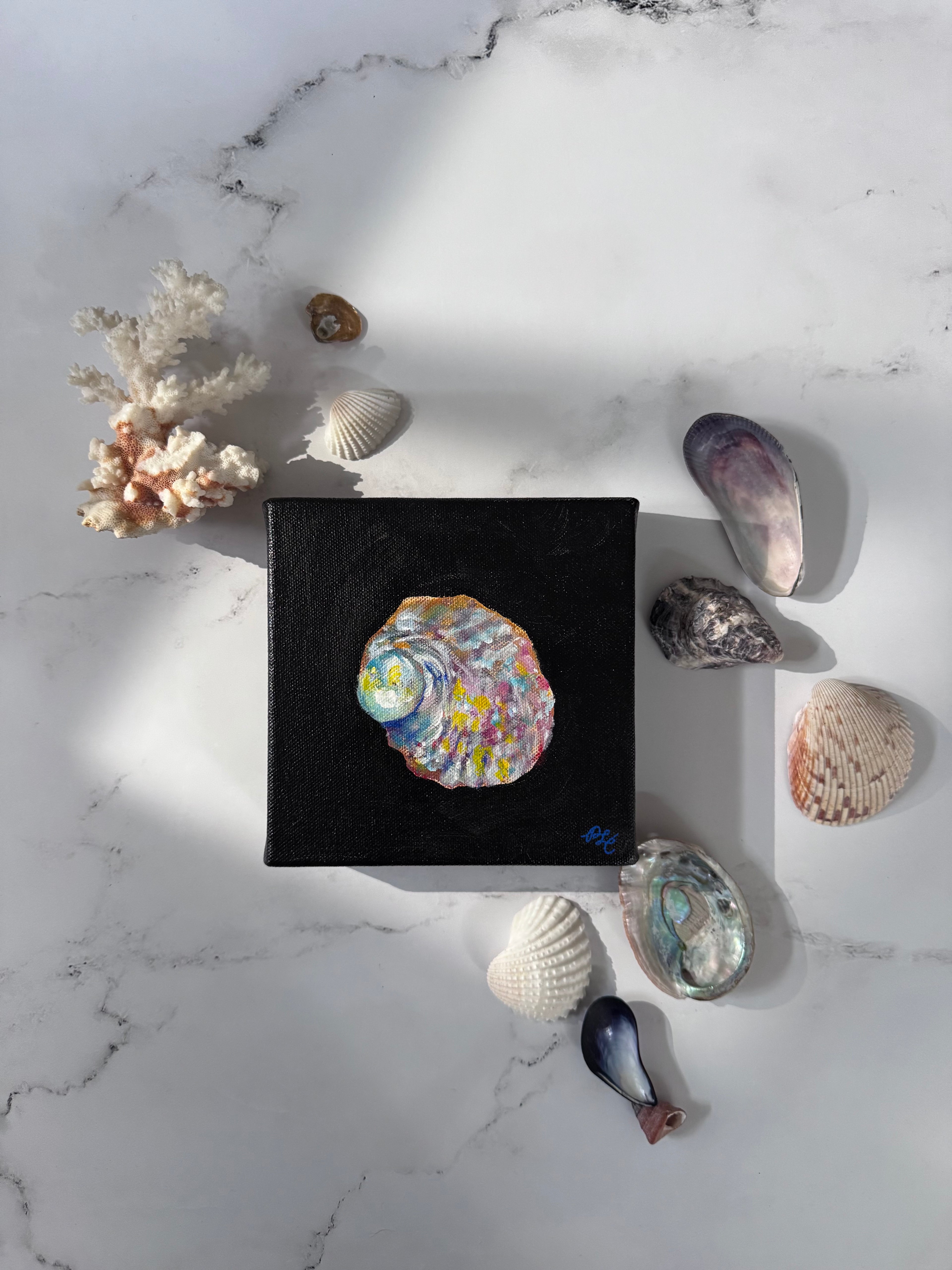 Matriarch: A Seashell Collection - Matriarch #3
