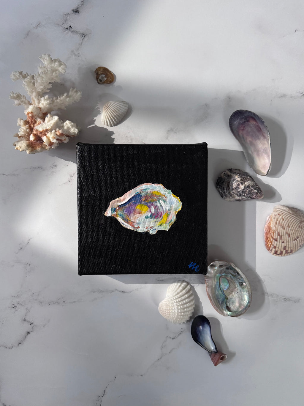 SOLD - Matriarch: A Seashell Collection - Matriarch #4