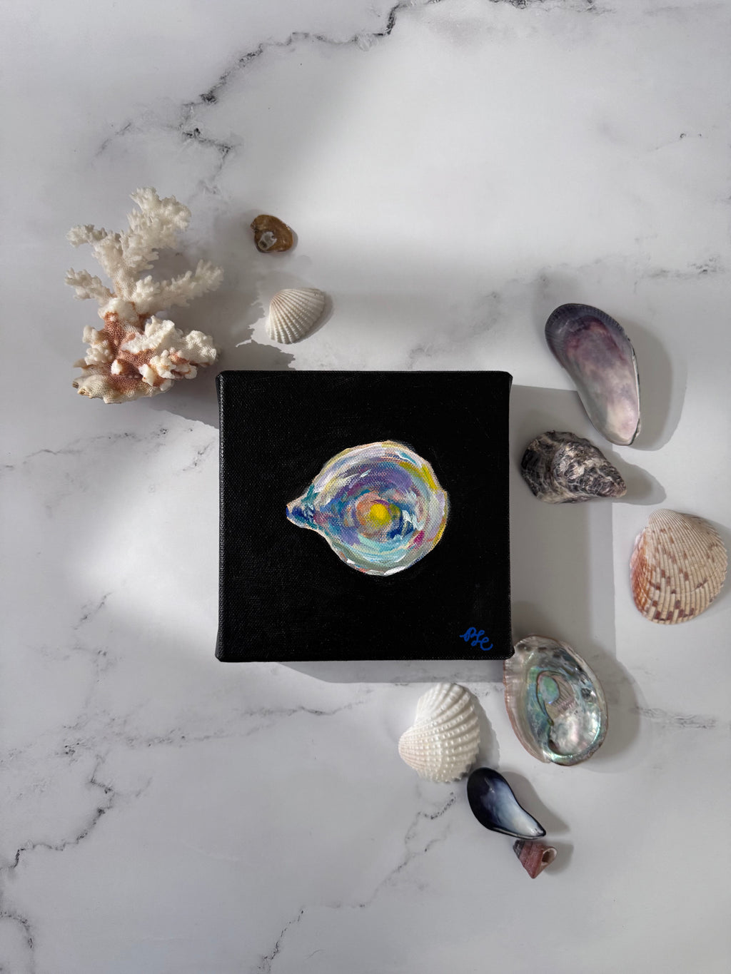 Matriarch: A Seashell Collection - Matriarch #6