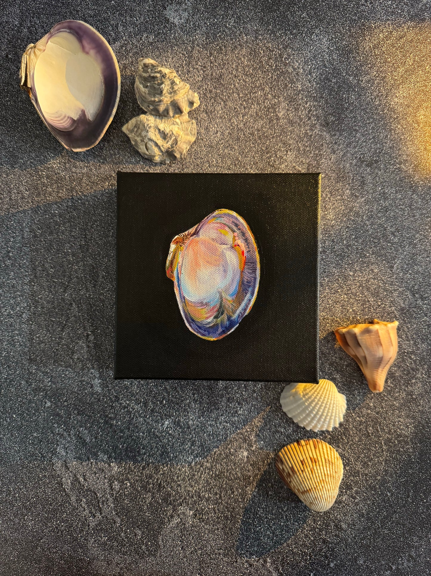 SOLD - The World is Your Oyster Collection - #4 Large Atlantic Clam Painting - Original Seashell Painting – Coastal Fine Art by NJ Artist