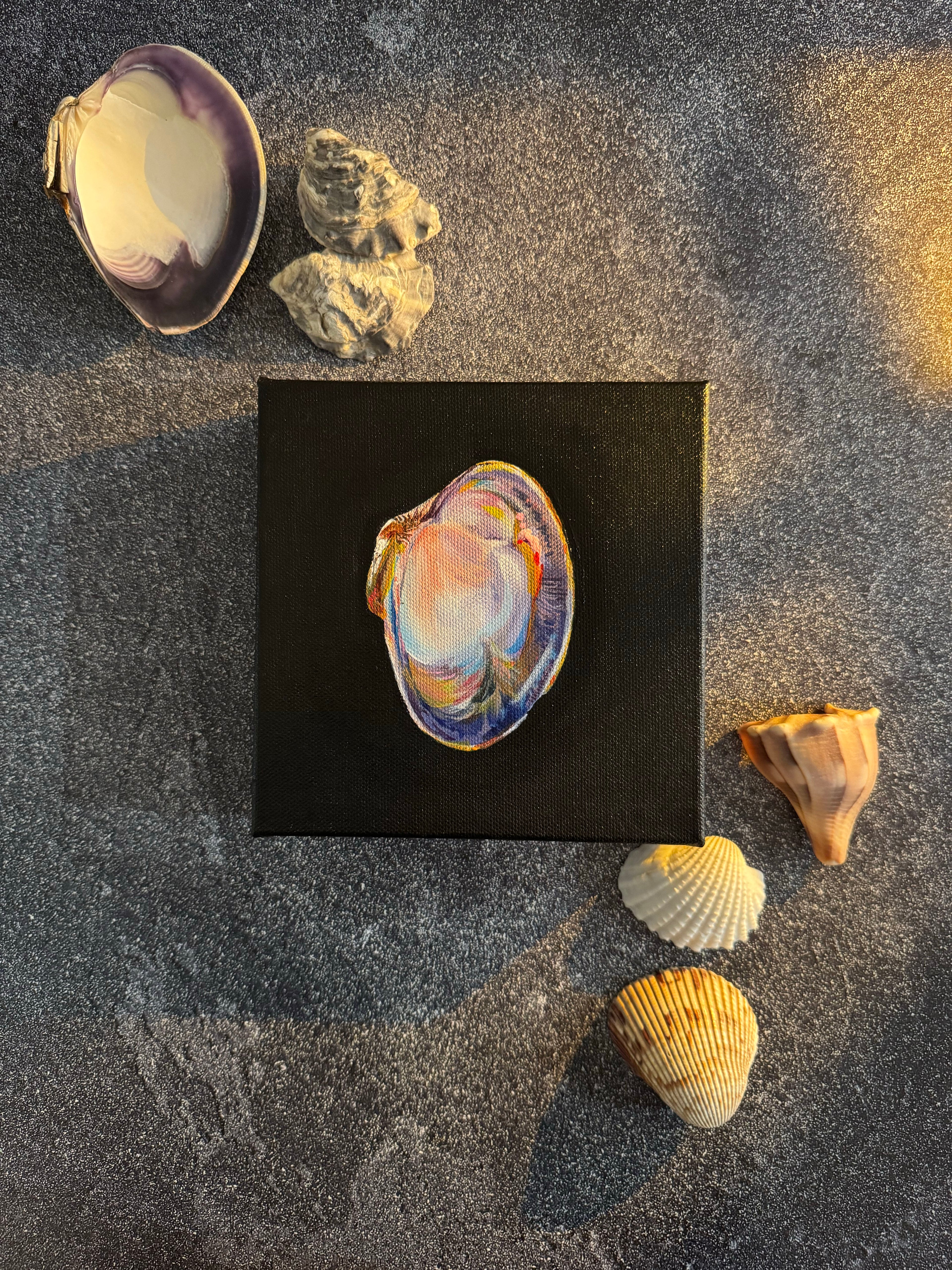 SOLD - The World is Your Oyster Collection - #4 Large Atlantic Clam Painting - Original Seashell Painting – Coastal Fine Art by NJ Artist