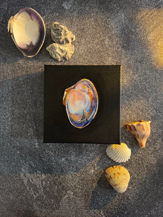 SOLD - The World is Your Oyster Collection - #4 Large Atlantic Clam Painting - Original Seashell Painting – Coastal Fine Art by NJ Artist