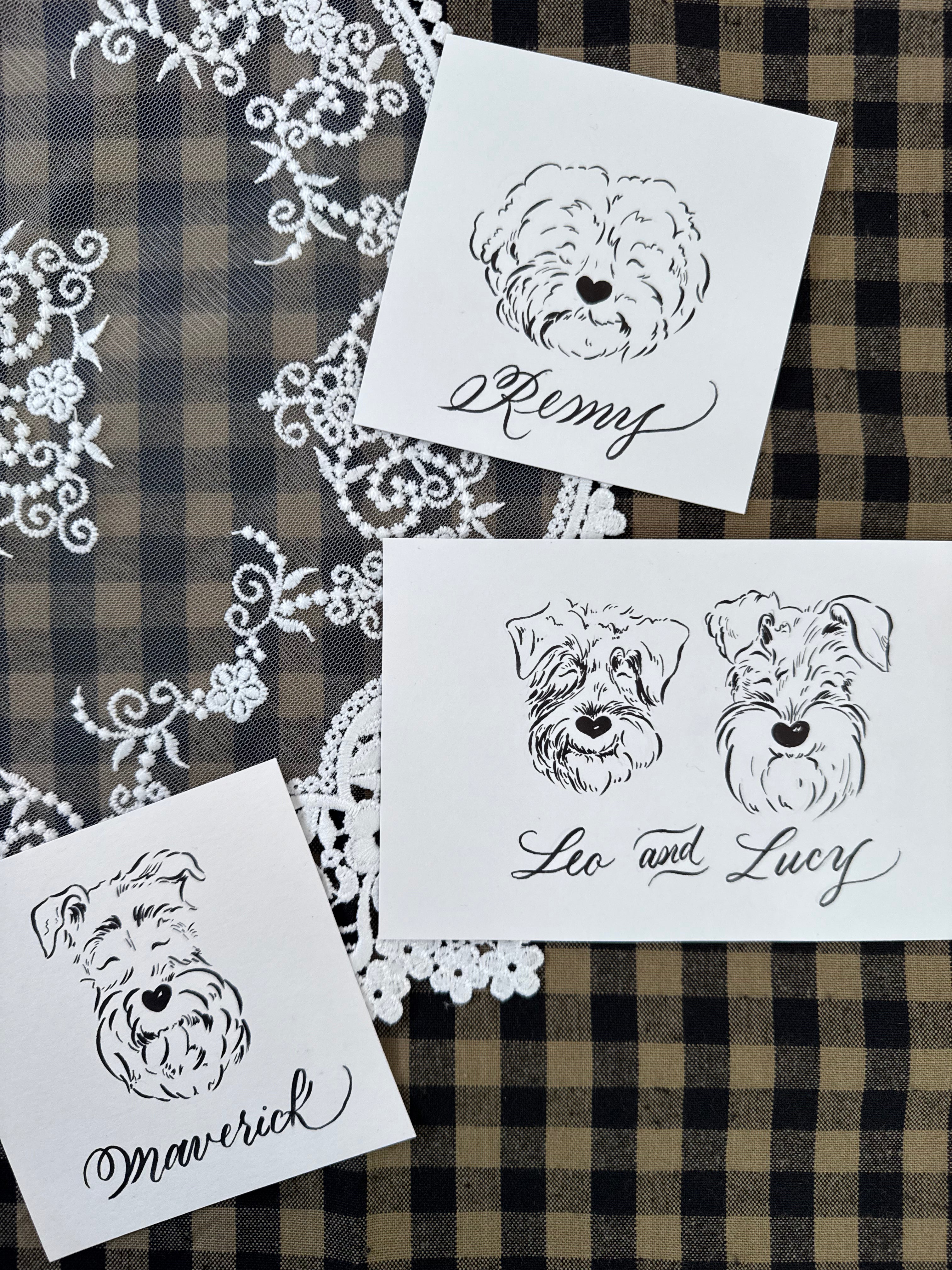 Custom Pet Portaits for Mary