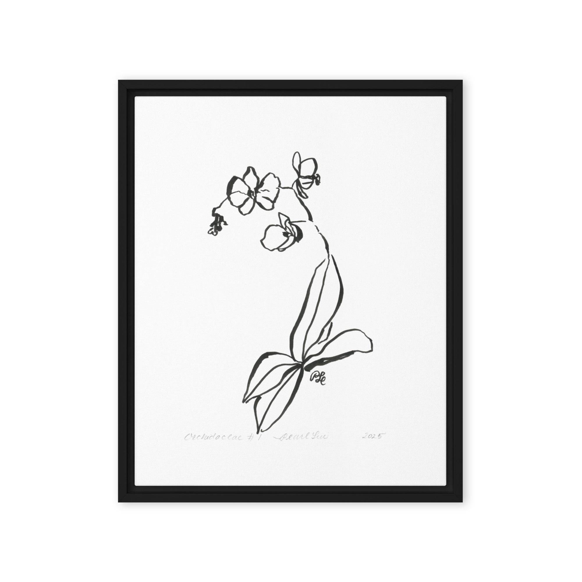 Orchidaceae #1 - Framed canvas - Dear Daughters Design