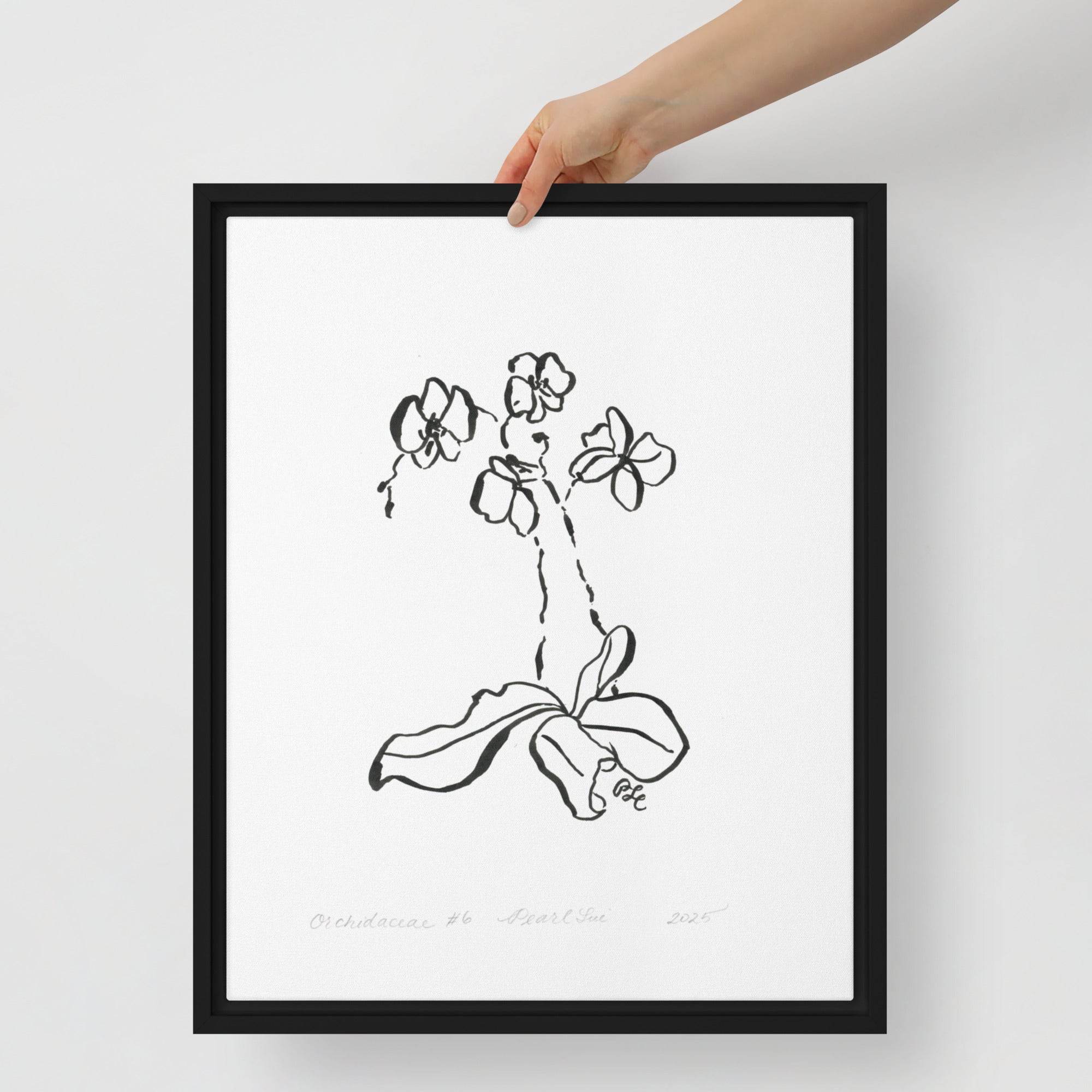 Orchidaceae #6 - Framed Canvas - Dear Daughters Design