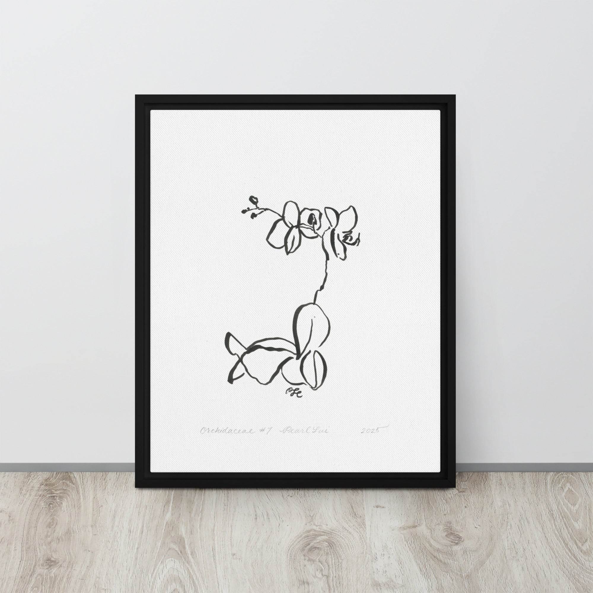Orchidaceae #7 - Framed Canvas - Dear Daughters Design