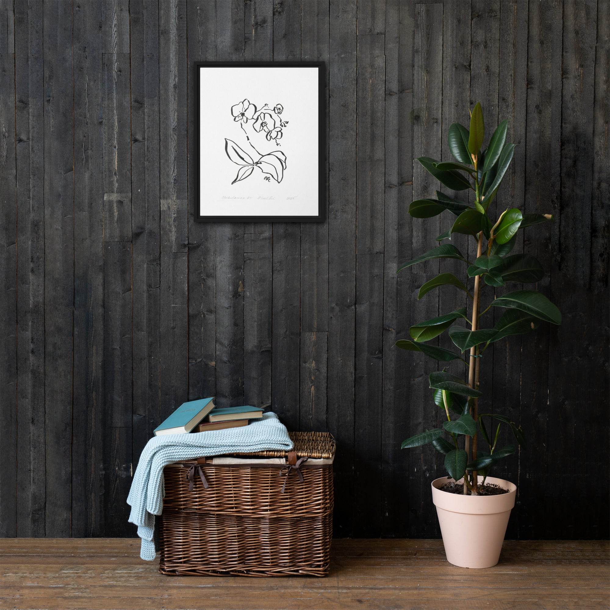 Orchidaceae #5 - Framed Canvas - Dear Daughters Design