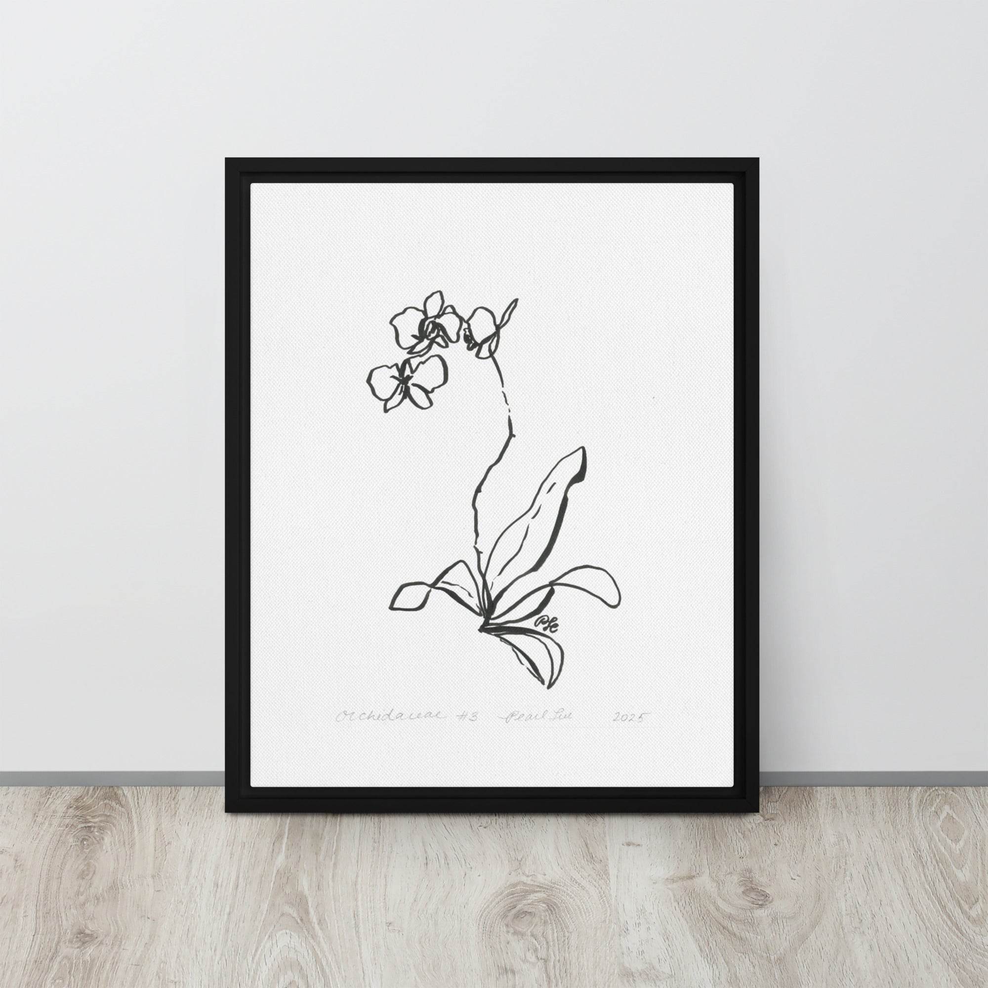 Orchidaceae #3 - Framed Canvas - Dear Daughters Design