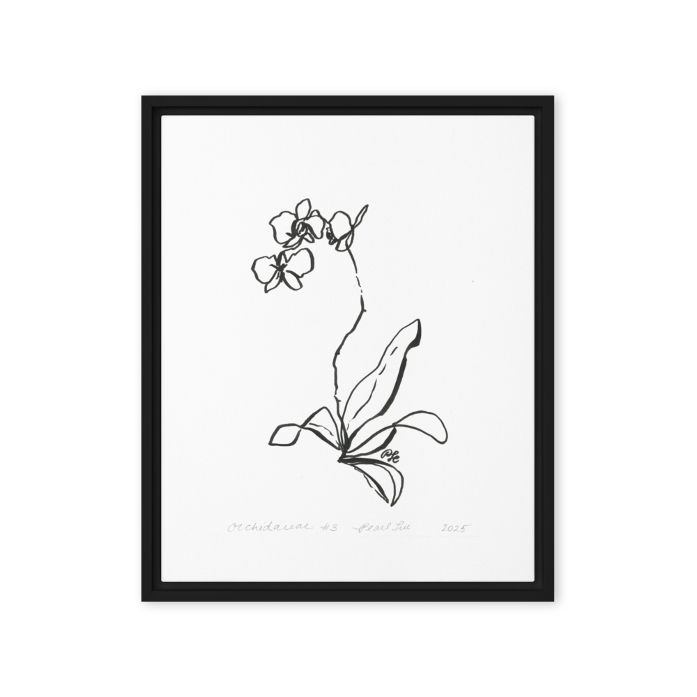 Orchidaceae #3 - Reprinted on Framed Canvas