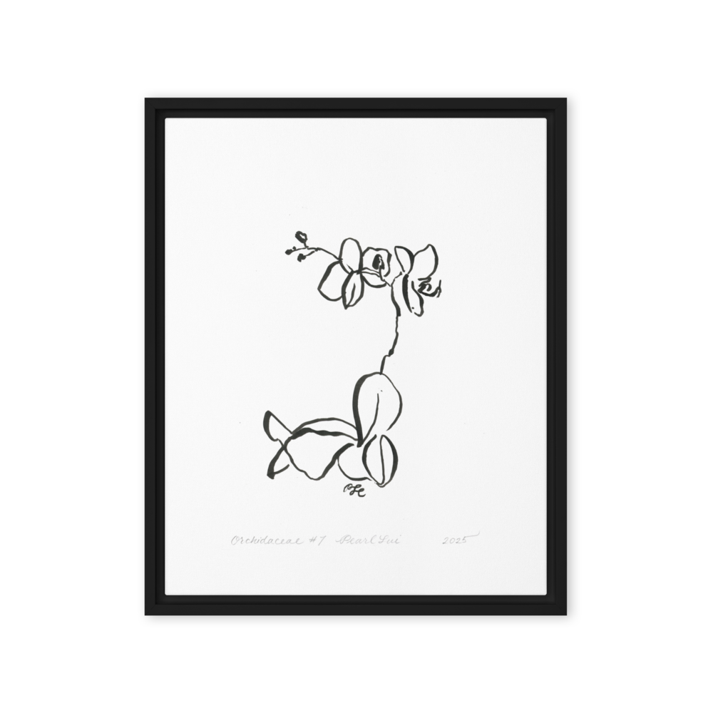 Orchidaceae #7 - Reprinted Framed Canvas